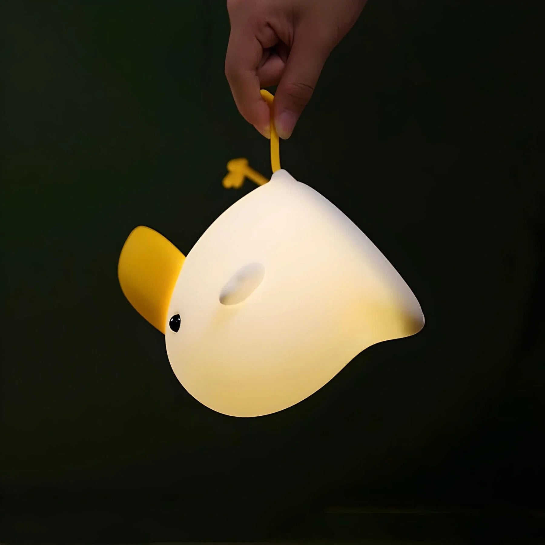 Veilleuse Oiseau