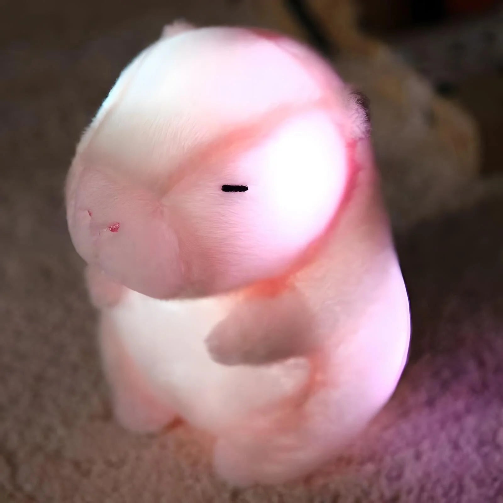 Veilleuse Peluche Capybara
